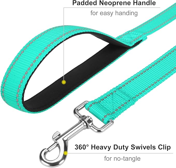 Erbine 6FT Reflective Nylon Dog Leash with Soft Padded Handle for Walking, Running and Training, Supports Small Medium and Large Dogs (Turquoise, 3/4Inch Wide)