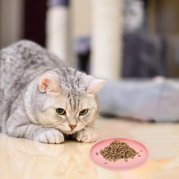 OSOLADY Ceramic Shallow Cat Bowl with Whisker Relief Non-Spill Design Pink Pet Food and Water Dish for Indoor Cats and Kittens