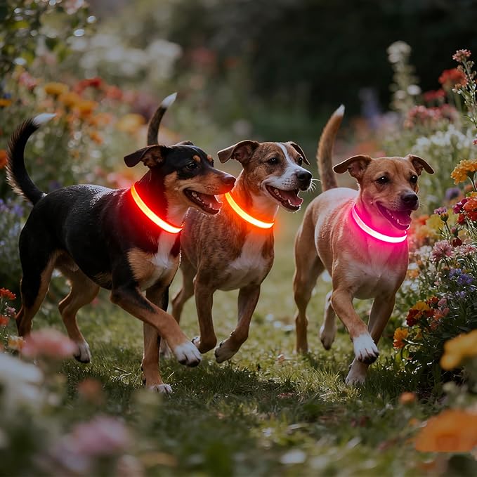 Vizpet LED Dog Collar, Light Up Dog Collar Adjustable USB Rechargeable Super Bright Safety Light Glowing Collars for Small Dogs(Small,Orange)