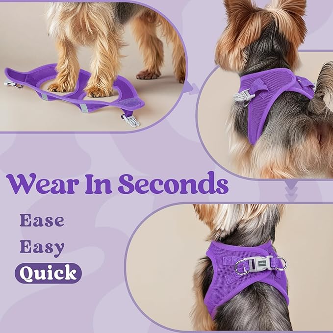 rabbitgoo Small Dog Harness, Step-in Soft Mesh Puppy Vest with Safety Buckle, Breathable Reflective Pet Harness for Small Medium Dogs, Purple XL