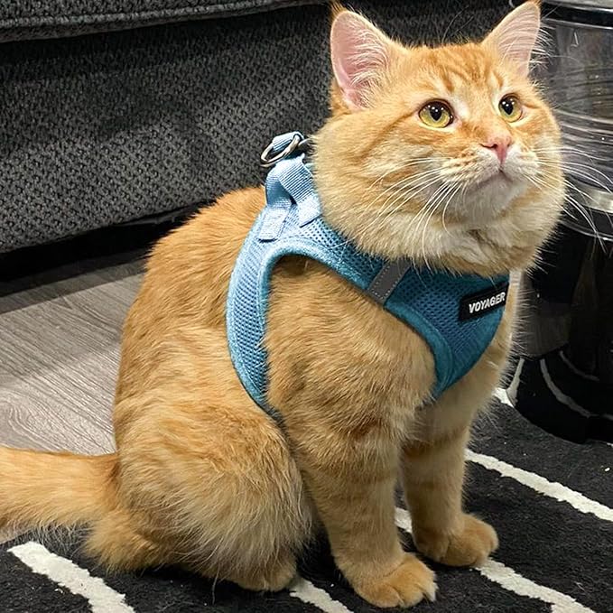 Best Pet Supplies Voyager Step-in Air Harness - All Weather Mesh, Reflective, No Pull Harness for Dogs, Cats - Secure with Hook & Loop Fastener, Buckle, Double D-Rings - Baby Blue, XL
