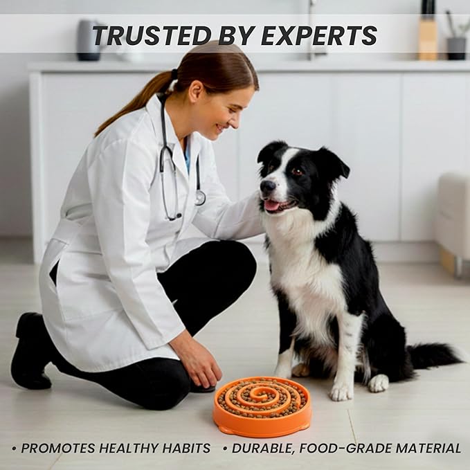 Slow Feeder Dog Bowl for Small and Large Dogs – Anti-Gulping Non-Slip Maze Bowl to Improve Digestion and Reduce Bloat (Oragne, Small)