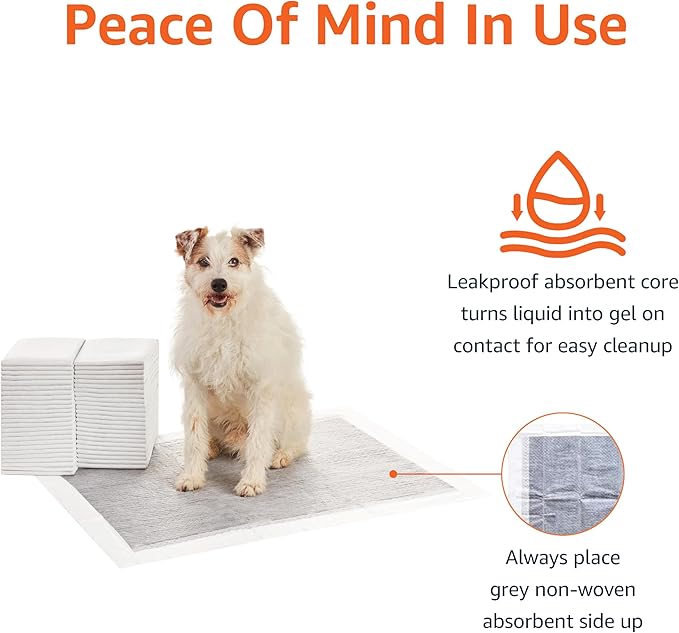 Amazon Basics Carbon Odor-Control Dog and Puppy Pee Pads, 5-Layer Leak-Proof Super Absorbent, Quick-Dry Surface, Potty Training, X-Large (28x34"), 50 Count, Gray