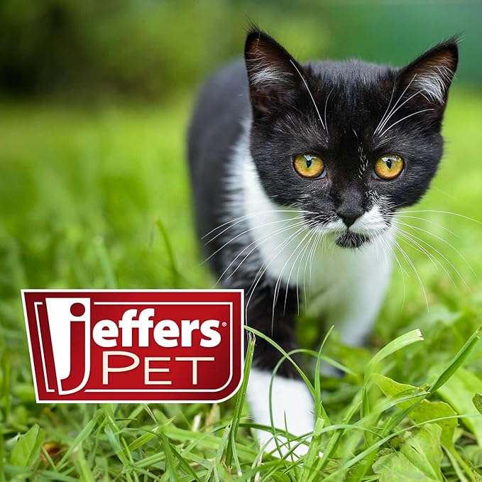 Jeffers Pet Ear Cleaning Solution for Dogs, Cats & Puppies – Aloe Vera Ear Wash for Wax & Odor Removal, Itchy Ear Comfort, Routine Ear Hygiene, Home Grooming, Travel Friendly Pet Care – 128 oz