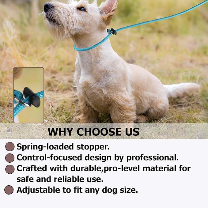 Slip Lead Dog Leash – Strong Nylon Training Rope with Spring-Loaded Adjustable Stopper – 5/16" x 4/5/6ft -No Pull Heavy Duty Leash for Small Medium Large Dogs (Black, 6 FT)