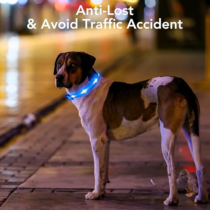 Weesiber Light Up Dog Collars - Rechargeable LED Collar - Reflective Adjustable Dog Lights for Night Walking (Blue, Large)