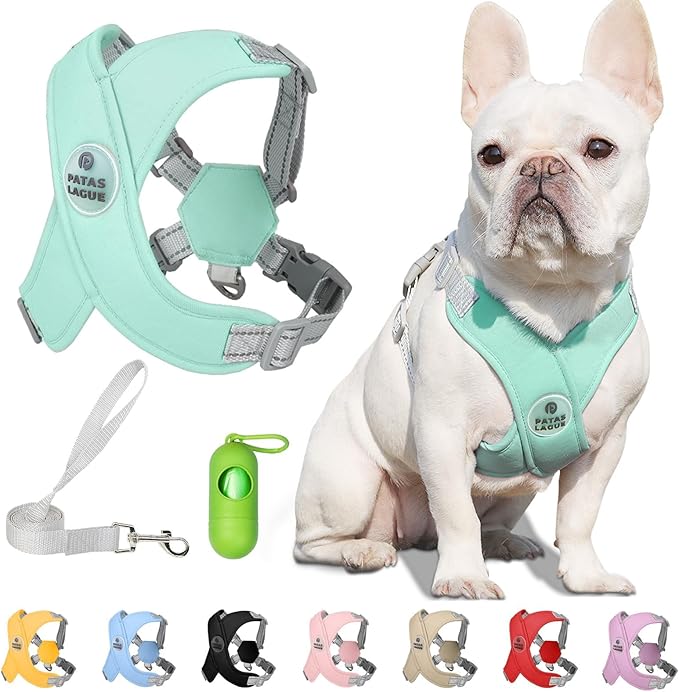 Patas Lague Dog Harness with Leash Set Adjustable Soft Padded Step-in Dog Vest No Choke No Pull Reflective for Small Pets with Poop Bags and Dispenser, Solid and No-chew, Green XS