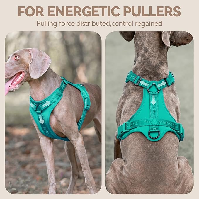 No Pull Dog Harness with Lycra, Three-Point Force Dispersion & 3D Padding, Adjustable Breathable Mesh for Small Medium Large Dogs(MARRS Green,XL)