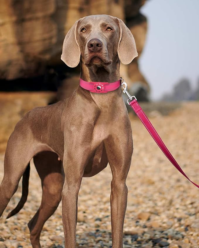 Erbine 6FT Reflective Nylon Dog Leash with Soft Padded Handle for Walking, Running and Training, Supports Small Medium and Large Dogs (Hotpink, 3/4Inch Wide)