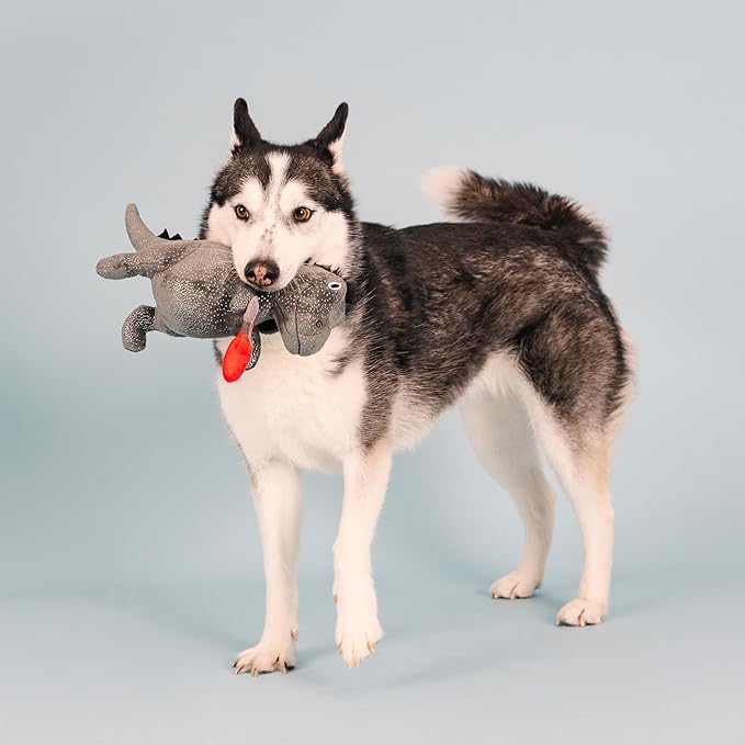 Fringe Studio Plush Dog Toy, Rocker Rex, Pet Shop Collection (314214)