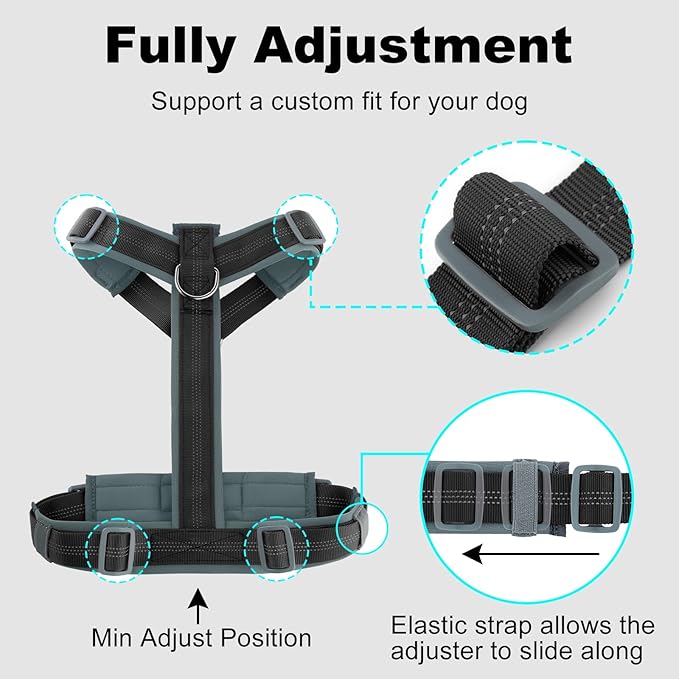 Plutus Pet No Pull Dog Harness, Adjustable Nylon Harness with Soft Padding, Reflective and Heavy Duty Dog Harness for Small, Medium, Large Dogs(Black, XS)