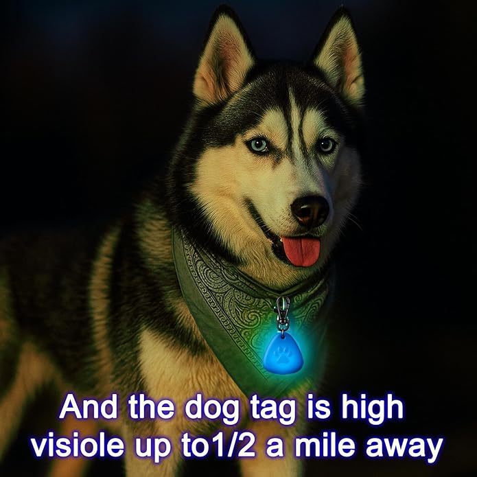 QUELIEN LED Dog Safety Pendant – Night Visibility, Durable, Long Battery Life, Easy Clip-on for All Dogs, Blue