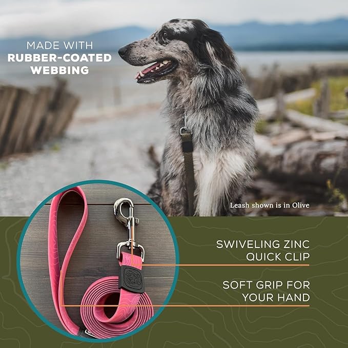 Wilderdog Waterproof Dog Leash - Repels Water & Dirt - Pacific Blue
