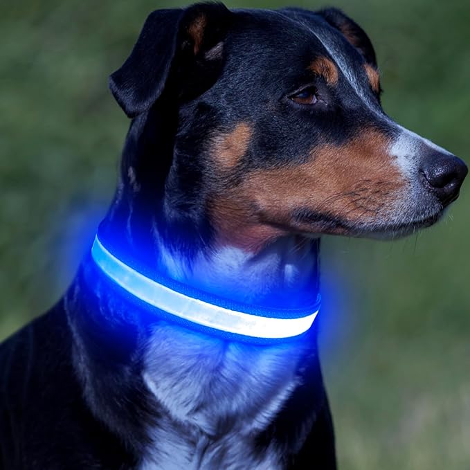 Vizpet LED Dog Collar, Light Up Dog Collar Adjustable USB Rechargeable Super Bright Safety Light Glowing Collars for Dogs(Medium,Blue)