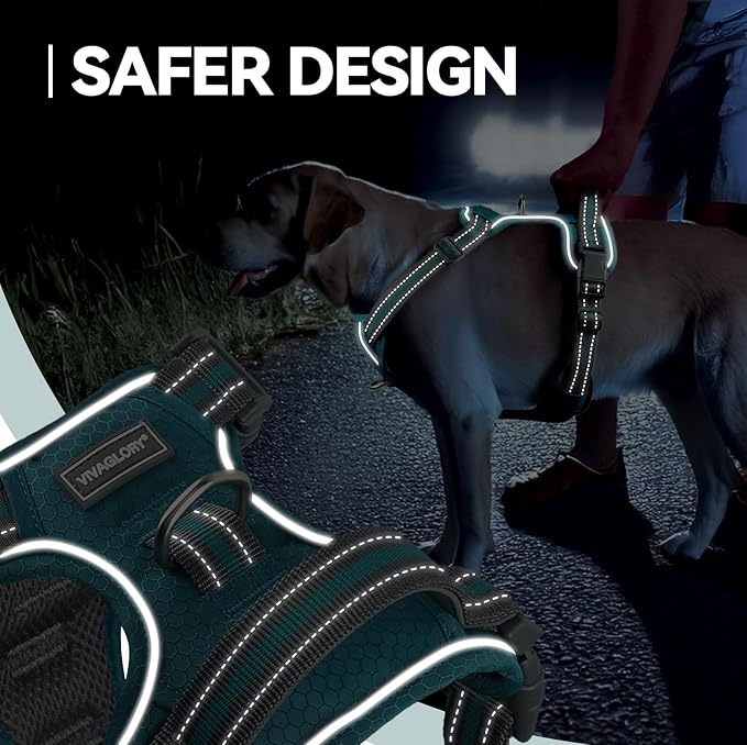 VIVAGLORY Dog Harness Easewalk No Pull Dog Harness with Handle & Front Back Clip for Training Lifting, Easy On Adjustable Padded No Pull for Pet & Puppy, XS, Hunter Teal