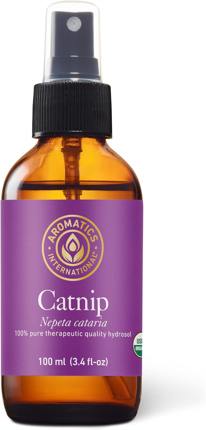 Aromatics International Catnip Hydrosol 100ml | Fresh Minty Natural Aromatic Mist for Home, Mood & Daily Use