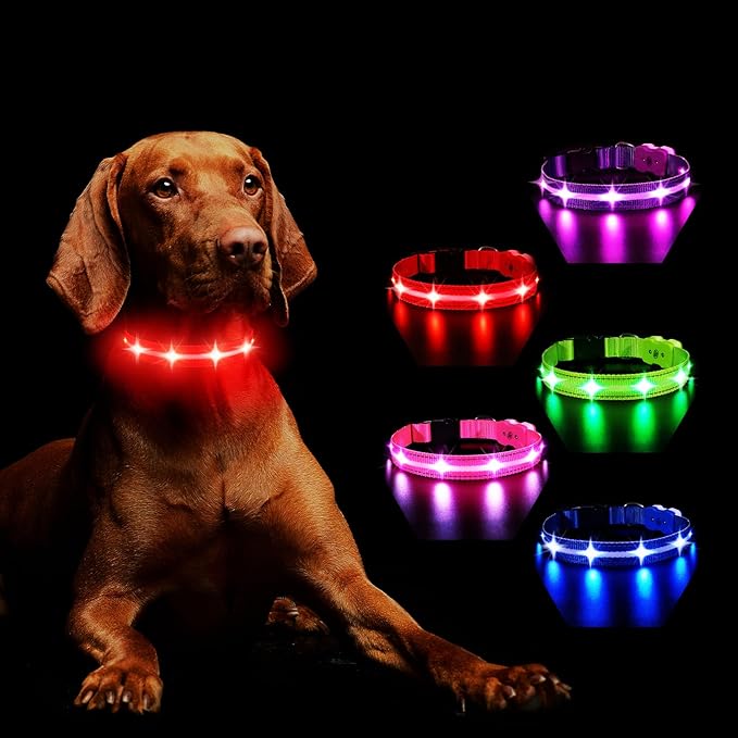 MASBRILL RGB Lighted Dog Collar - Flashing LED, Night Walking, Water-Resistant, Rechargeable for Small to Large Dogs