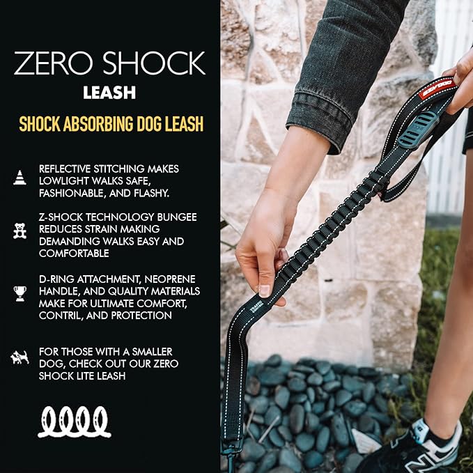 EzyDog Zero Shock Dog Leash - Shock Absorbing Bungee Leash for Dogs That Pull or Excite - Dual Handle and Reflective for Large, Medium, or Small Dogs (48-inch, Orange)