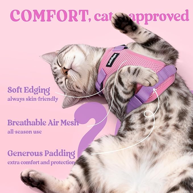 rabbitgoo Cat Harness and Leash for Walking, Escape Proof Soft Adjustable Vest Harnesses for Cats, Easy Control Breathable Reflective Strips Jacket, Pink & Purple, S