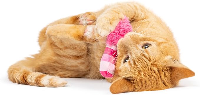 Huxley & Kent 2-Pack Plush Cat Toys | Love Bugs | Valentine's Day Strong Catnip Filled Cat Toy | Plush Kitten and Cat Toy with Catnip and Crinkle | Kittybelles