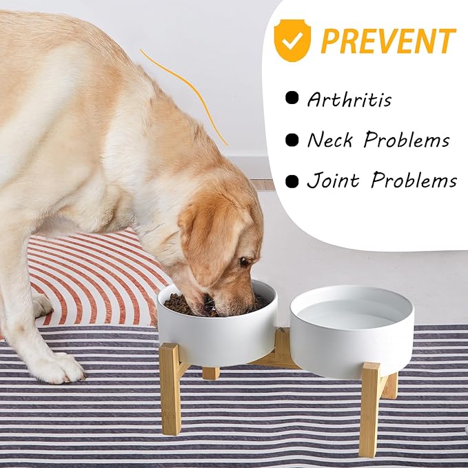 Raised Ceramic Dog Bowl Set - Elevated Dog Bowls with Non Slip Bamboo Stand, Food and Water Bowl Set for Small and Medium Breed Dogs, Pet Bowls, Weighted Dogs Dishes (6'', 2 * 30OZ, White)