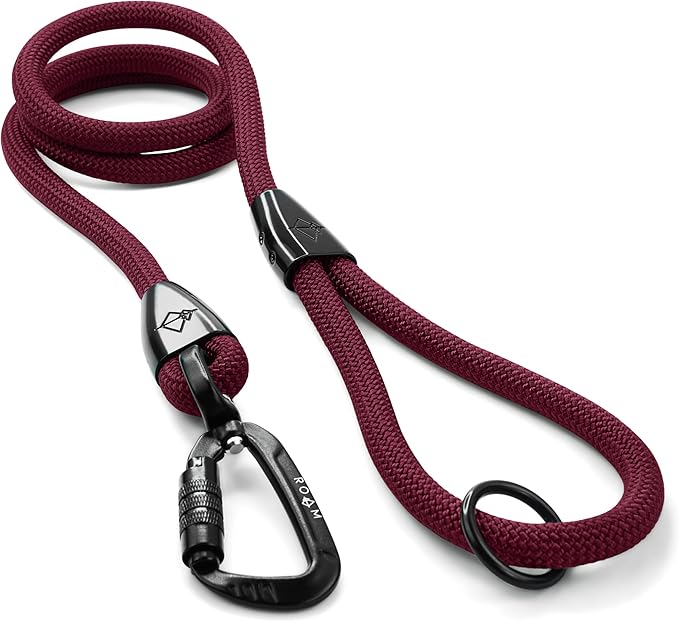 MADE TO ROAM Premium Explorer Leash - Climbing Rope Leash with Autolocking Aviation Aluminum Carabiner - Vermont Weekends, 6ft