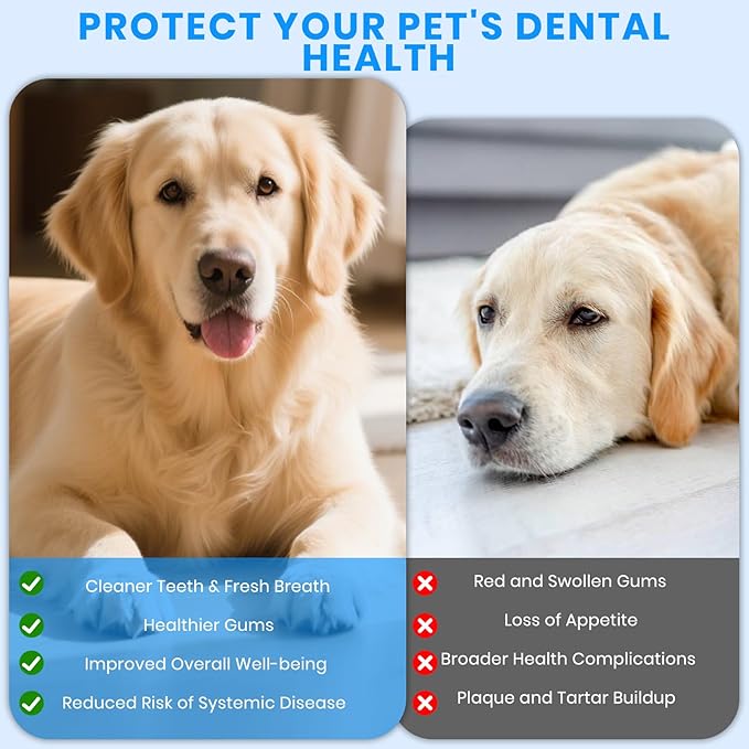 Dog Plaque Remover for Teeth,Pet Ultrasonic Tooth Cleaner with LED Light,Cleaning Kit for Tartar and Stains,5 Adjustable Modes,Pet Teeth Cleaning kit,Suitable for Dogs and Cats (Black)