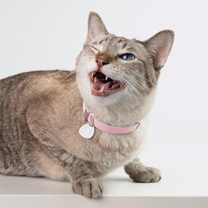 Safety Cat Collar Pro, Lightweight Elastic Release Non Breakaway Cat Collar Adjustable with Snap Fastener for Kitten All Small Large Cats, US IDA Gold Award (Olive, M 7.9-15.7")