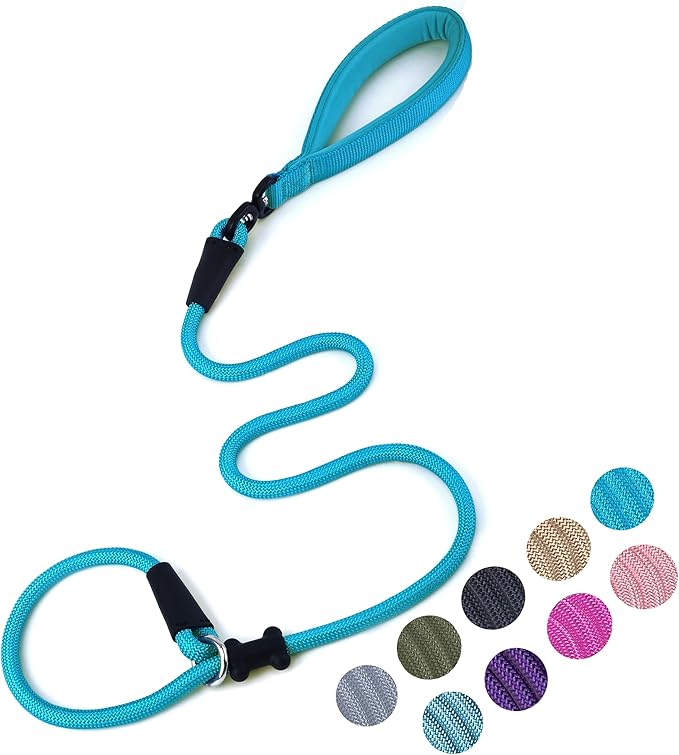 Slip Lead Dog Leash，Strong Nylon Rope Leash and Padded Handle,No Pull Outdoor Walking Training Lead for Small Medium Large Dogs(Blue,1/2"×4ft)