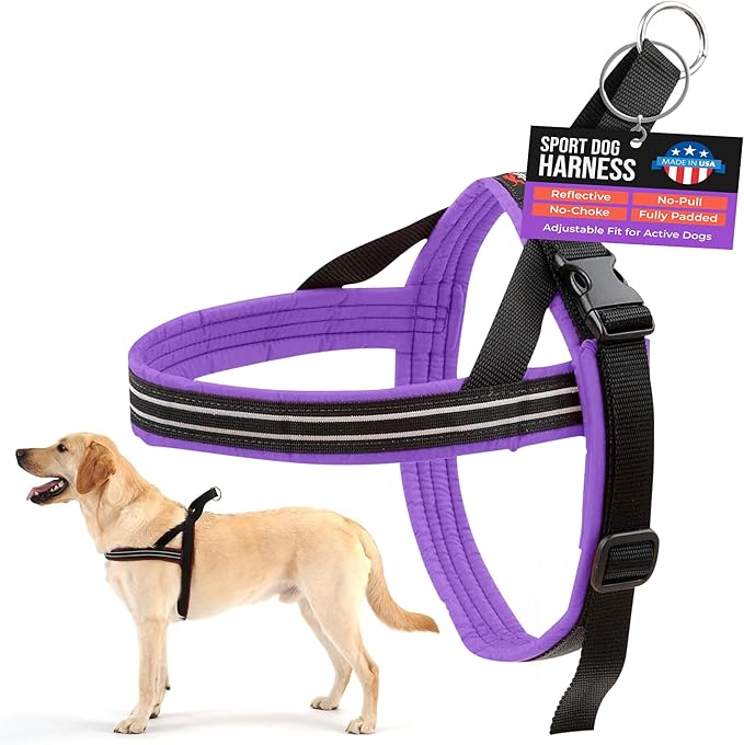 ComfortFlex Sport Dog Harness – No-Choke, Fully Padded, Non-Chafing Harness with Control Handle – Reflective, Lightweight, Adjustable for Active Dogs - Large, Purple