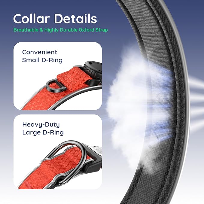 WhoseID Airtag Dog Collar | with Waterproof Air Tag Holder | QR Code Pet ID | Durable Comfortable Oxford Padded | Reflective Collar | for Small Puppy Dogs(Red,S,10''~16'')