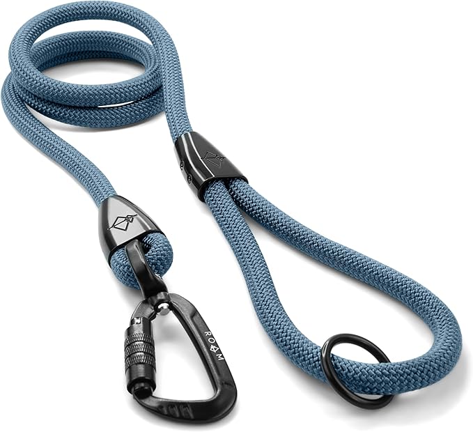 MADE TO ROAM Premium Explorer Leash - Climbing Rope Leash with Autolocking Aviation Aluminum Carabiner - California Horizon, 6ft