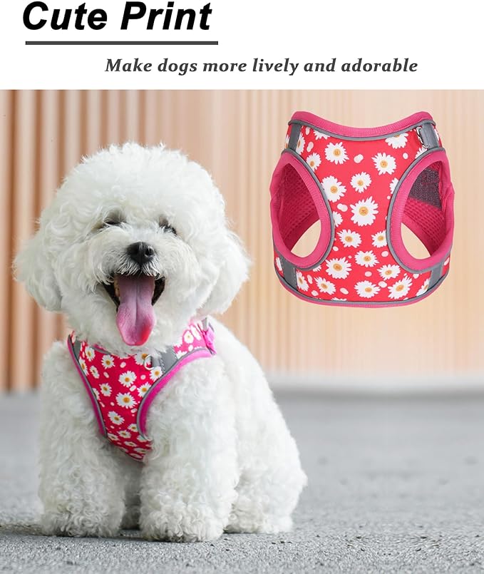 S ROSEO Flower Pattern Dog Harness and Leash Set,No Escape Puppy Harnesses for Training Walking，Breathable Adjustable Puppy Vest for Small Medium Dogs, Cats (ROSEO, S)