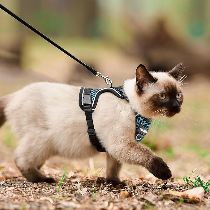 Cat Harness and Leash for Walking Escape Proof Soft Adjustable Cat Leash Breathable Honeycomb Structure Comfortable Vest Easy to Wear Kitten Harness for Outdoor Travel, Honeycomb Blue, XS