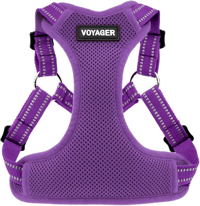 Best Pet Supplies Voyager Mesh Dog Breathable Harness Reflective Stitching, All Weather Adjustable for Walking Training, or Running - Heavy Duty & Durable, Harness (Purple), S