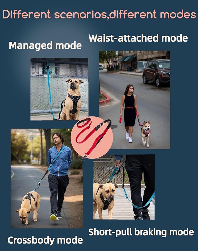 Dog Leash, Hands Free - 6-in-1 Reflective Bungee Leash Design for Large & Medium Dogs, Adjustable Nylon Belt for Running, Hiking & Daily Walks (Black)