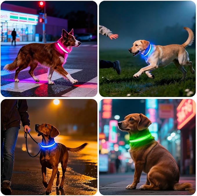 Dolitego LED Dog Collar USB Rechargeable - Light Up Dog Collar Safety Pet Collars with Lights for Night Walking,Camping (Green, L)