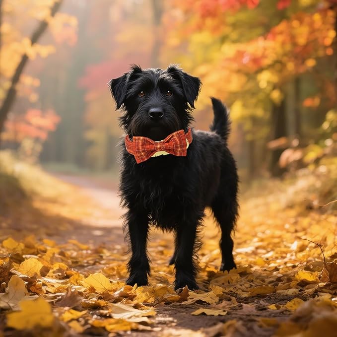 Unique style paws Cotton Dog Collar with Bow Autumn Puppy Collar with Halloween Orange Brown Grid for Small Medium Large Boys Girls Dogs