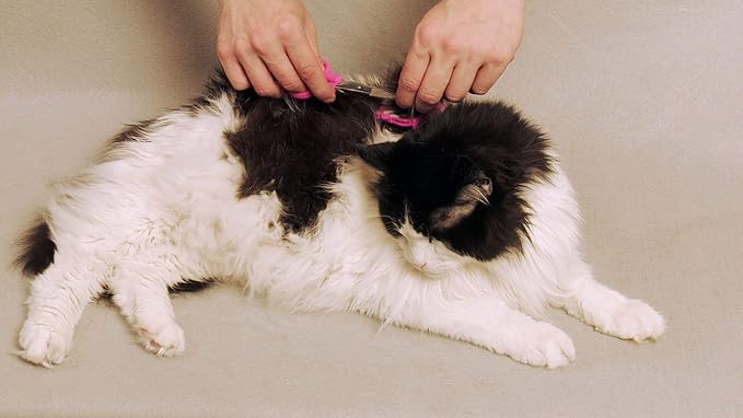 Scaredy Cut NO Buzz Dog Clippers, Tiny Trim Safety Scissor. A Silent Low Noise Pet Grooming Clipper, Right Handed Blue