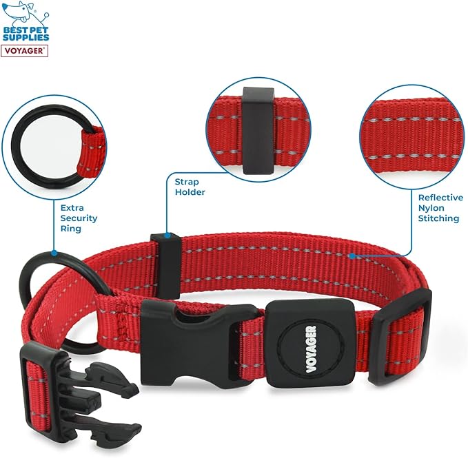 Best Pet Supplies Voyager Reflective Dog Leash or Collar with Neoprene Handle, for Small, Medium, and Large Breed Puppies, Cute and Heavy Duty for Walking, Running and Training - Red, M