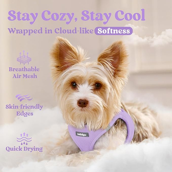 rabbitgoo Small Dog Harness, Step-in Soft Mesh Puppy Vest with Safety Buckle, Breathable Reflective Pet Harness for Extra Small Dogs, Light Purple XXS