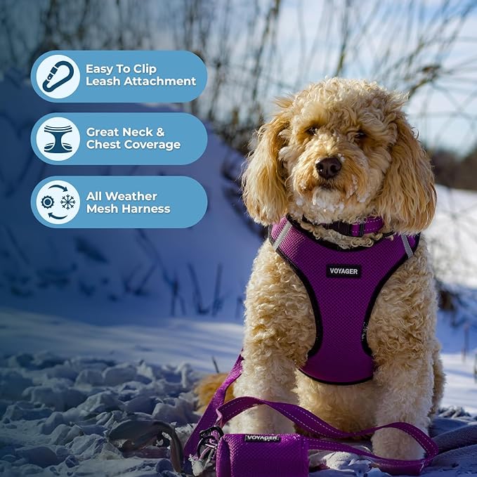 Best Pet Supplies Voyager Step-in Air Harness - All Weather Mesh, Reflective, No Pull Harness for Dogs, Cats - Secure with Hook & Loop Fastener, Buckle, Double D-Rings - Purple/Black Trim, XL