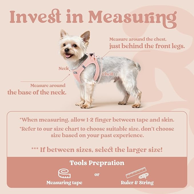 rabbitgoo Small Dog Harness, Step-in Soft Mesh Puppy Vest with Safety Buckle, Breathable Reflective Pet Harness for Small Sized Dogs, Pink M