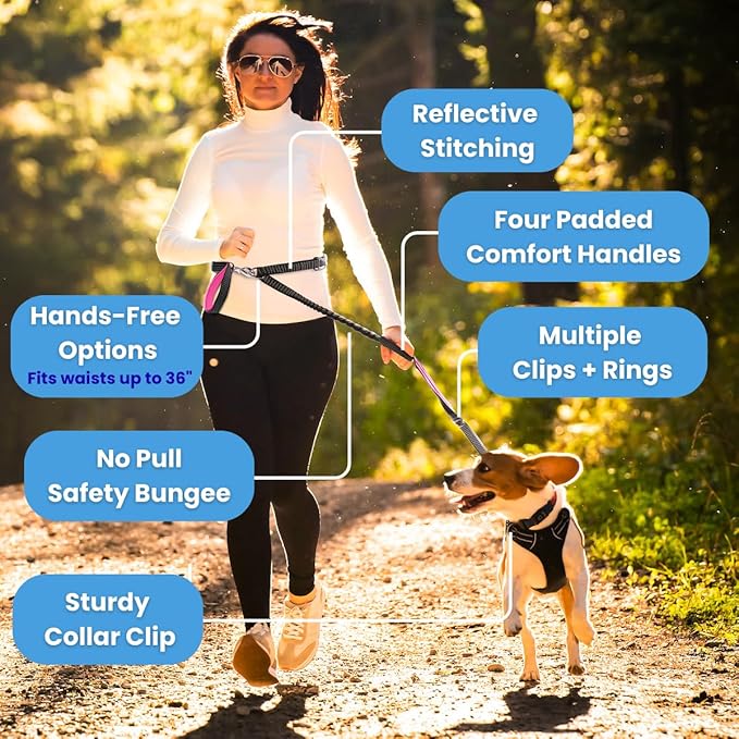No Pull Dog Leash for Large Dogs – 6ft Highly Reflective Bungee, Heavy Duty Leash for Large Dogs, 4 Padded Handles, Strong Carabiner Clip & Rings, Includes Poop Bag Holder & Treat Pouch (Teal)