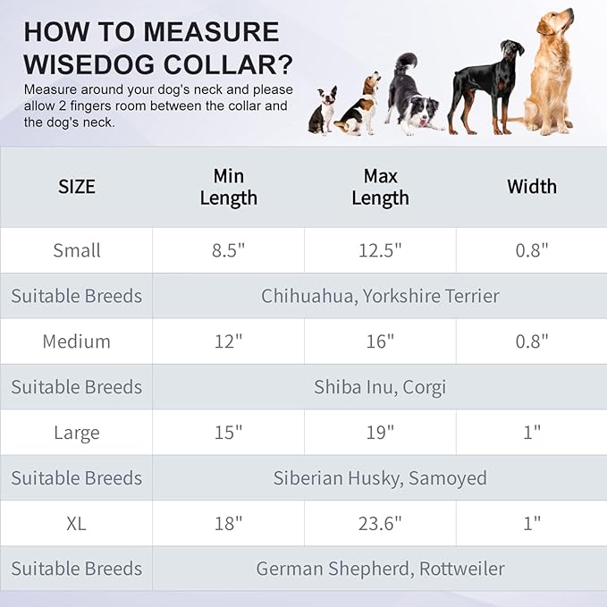 Wisedog Waterproof Dog Collar: Multiple Adjust 7" to 23.6", Soft Rubber Coated Webbing, Easy to Clean, for Small Medium Large Dogs (S|8.5"-12.5" × 4/5 in, Rose Violet)