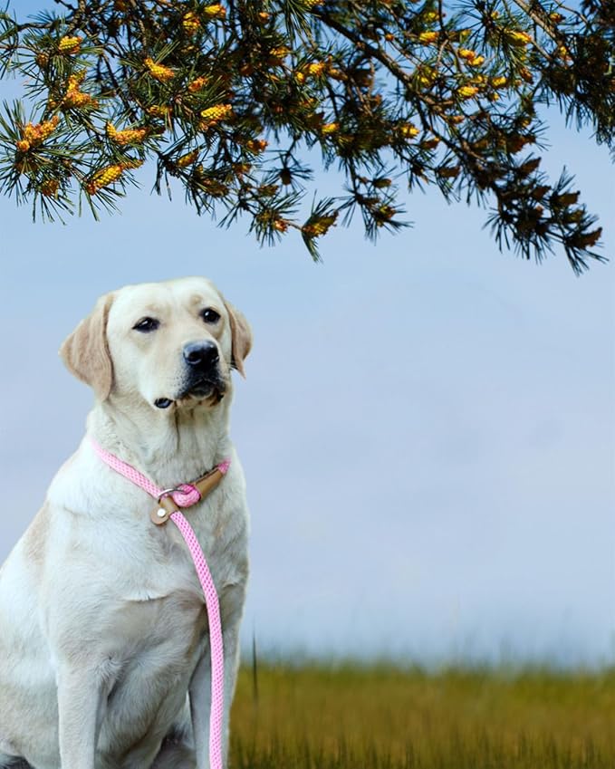 lynxking Dog Leash Slip Lead Rope Leash Strong Heavy Duty Braided Dog No Pull Training Lead for Medium Large and Small Dogs