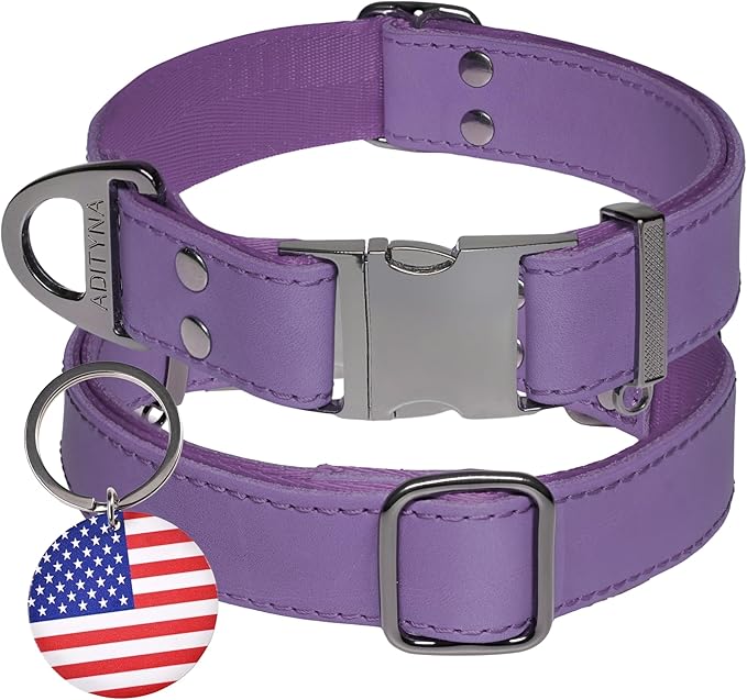 ADITYNA Leather Dog Collar with Metal Buckle - Heavy-Duty, Adjustable for Medium & Large Dogs - Walking, Training, Hiking (Purple, Fits 15-21" Necks)