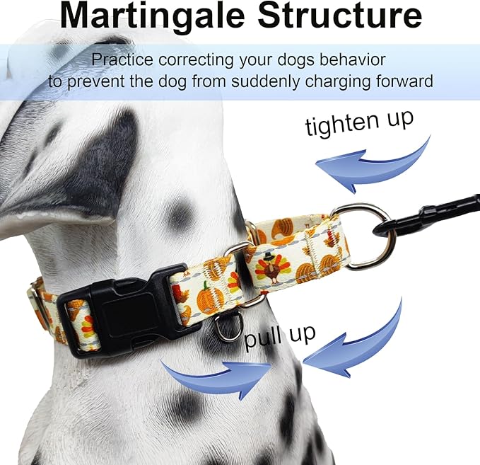 Thanksgiving Reflective Martingale Collar for Dogs with Quick Release Buckle Pumpkin Dog Collars (Yellow Chicken, Small)