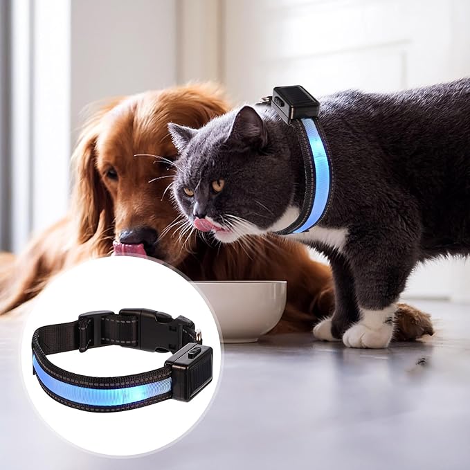 TOBBOMEY LED USB Rechargeable Dog Collar, Blue Small Glowing Pet Collar with Solar-Powered Flashing Light for Night Walking and Outdoor Safety