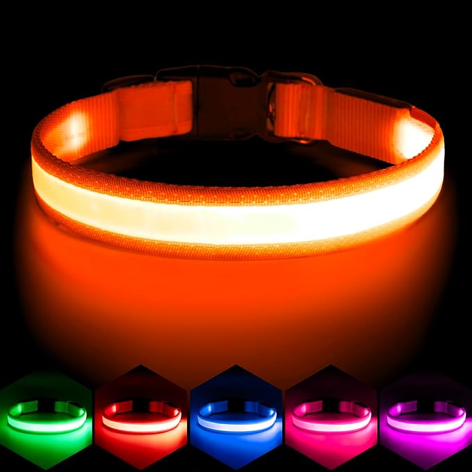 Vizpet LED Dog Collar, Light Up Dog Collar Adjustable USB Rechargeable Super Bright Safety Light Glowing Collars for Small Dogs(Small,Orange)
